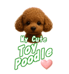 ぷ～ちゃんの癒まくりスタンプ♡（個別スタンプ：1）