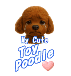 ぷ～ちゃんの癒まくりスタンプ♡（個別スタンプ：3）