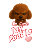 ぷ～ちゃんの癒まくりスタンプ♡（個別スタンプ：5）