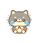 動く♡豆柴日和♡（個別スタンプ：20）