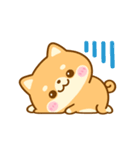 動く♡豆柴日和♡（個別スタンプ：21）