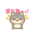 動く♡豆柴日和♡（個別スタンプ：24）