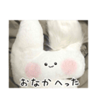 ぬいぐるみのうさぎスタンプ（個別スタンプ：1）
