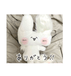 ぬいぐるみのうさぎスタンプ（個別スタンプ：5）