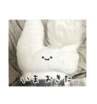 ぬいぐるみのうさぎスタンプ（個別スタンプ：6）
