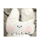 ぬいぐるみのうさぎスタンプ（個別スタンプ：14）