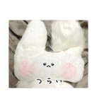ぬいぐるみのうさぎスタンプ（個別スタンプ：15）