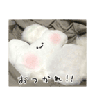 ぬいぐるみのうさぎスタンプ（個別スタンプ：22）