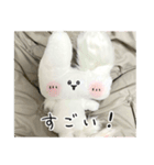 ぬいぐるみのうさぎスタンプ（個別スタンプ：23）