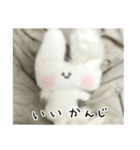 ぬいぐるみのうさぎスタンプ（個別スタンプ：24）