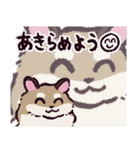 ロボロフスキーハムスターです（個別スタンプ：4）