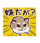 ロボロフスキーハムスターです（個別スタンプ：6）