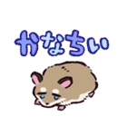 ロボロフスキーハムスターです（個別スタンプ：10）
