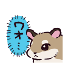 ロボロフスキーハムスターです（個別スタンプ：30）