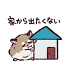 ロボロフスキーハムスターです（個別スタンプ：39）