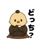 囲碁棋士ひよこ/秋の修行と癒しの一手（個別スタンプ：28）