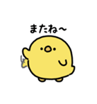 まんまるヒヨコ（文字付き）（個別スタンプ：1）
