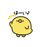 まんまるヒヨコ（文字付き）（個別スタンプ：5）