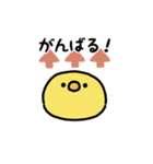 まんまるヒヨコ（文字付き）（個別スタンプ：6）
