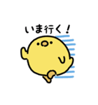 まんまるヒヨコ（文字付き）（個別スタンプ：13）