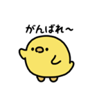 まんまるヒヨコ（文字付き）（個別スタンプ：14）