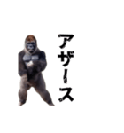 動く！横揺れゴリラ（個別スタンプ：7）
