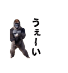 動く！横揺れゴリラ（個別スタンプ：8）