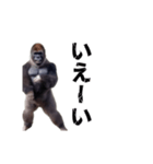 動く！横揺れゴリラ（個別スタンプ：9）