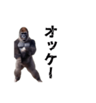 動く！横揺れゴリラ（個別スタンプ：14）