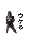 動く！横揺れゴリラ（個別スタンプ：16）