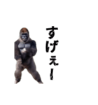 動く！横揺れゴリラ（個別スタンプ：19）