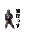 動く！横揺れゴリラ（個別スタンプ：22）
