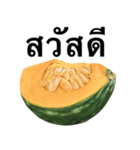 国産かぼちゃ 【タイ語のみ】（個別スタンプ：1）