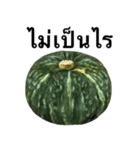 国産かぼちゃ 【タイ語のみ】（個別スタンプ：3）