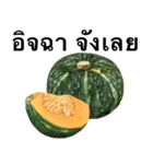 国産かぼちゃ 【タイ語のみ】（個別スタンプ：6）