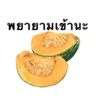 国産かぼちゃ 【タイ語のみ】（個別スタンプ：8）