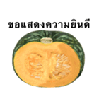 国産かぼちゃ 【タイ語のみ】（個別スタンプ：10）