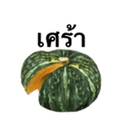 国産かぼちゃ 【タイ語のみ】（個別スタンプ：11）