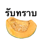 国産かぼちゃ 【タイ語のみ】（個別スタンプ：12）