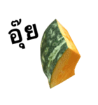 国産かぼちゃ 【タイ語のみ】（個別スタンプ：13）