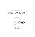 激しく尻尾をふるトイプー（個別スタンプ：4）