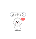 激しく尻尾をふるトイプー（個別スタンプ：5）