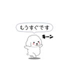 激しく尻尾をふるトイプー（個別スタンプ：8）