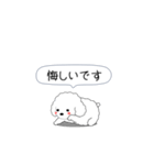 激しく尻尾をふるトイプー（個別スタンプ：11）