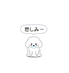 激しく尻尾をふるトイプー（個別スタンプ：12）