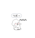 激しく尻尾をふるトイプー（個別スタンプ：13）