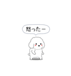 激しく尻尾をふるトイプー（個別スタンプ：15）