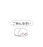 激しく尻尾をふるトイプー（個別スタンプ：16）
