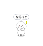 激しく尻尾をふるトイプー（個別スタンプ：17）