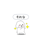 激しく尻尾をふるトイプー（個別スタンプ：19）
